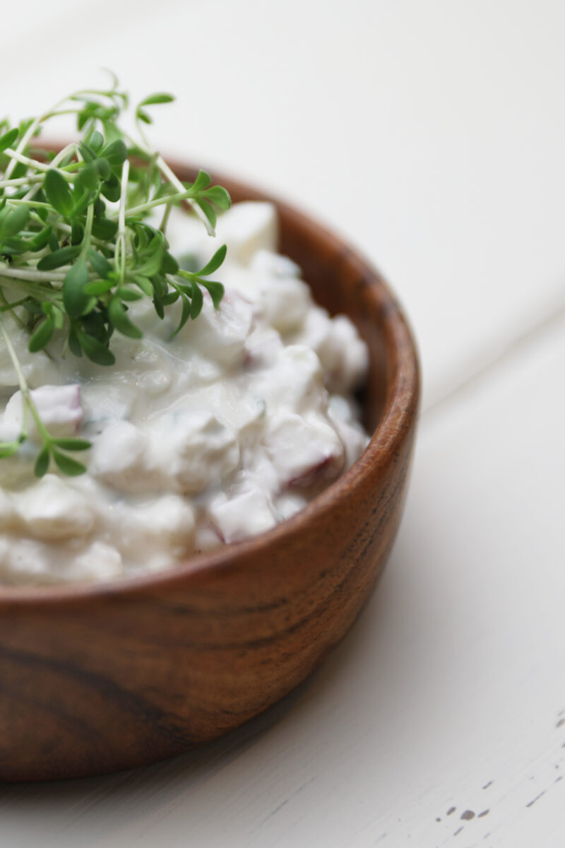 Frühlings-Dip mit Radieschen und Kresse - Die Kleckerei